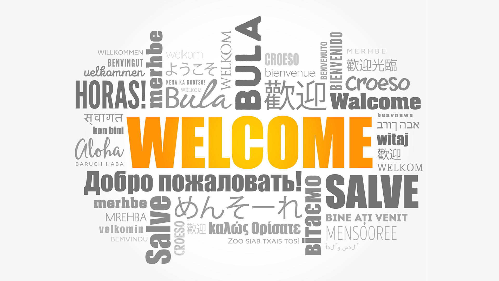 Welcome to the Q&Y Int’l